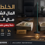 الخلط بين المال الشخصي ومال الشركة
